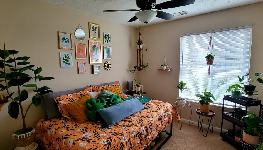 Photo of Danielle B's room