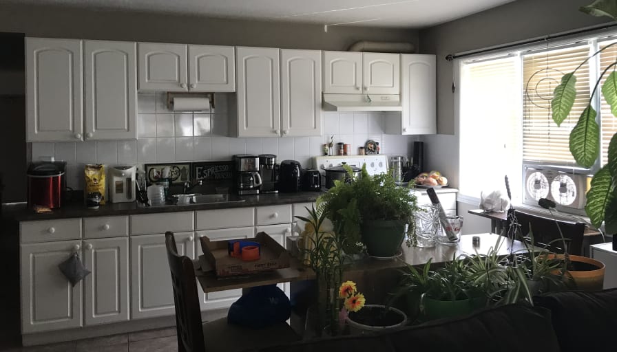 Photo of robert's room