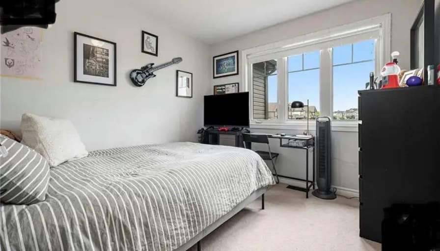 Professional female and a cat's room