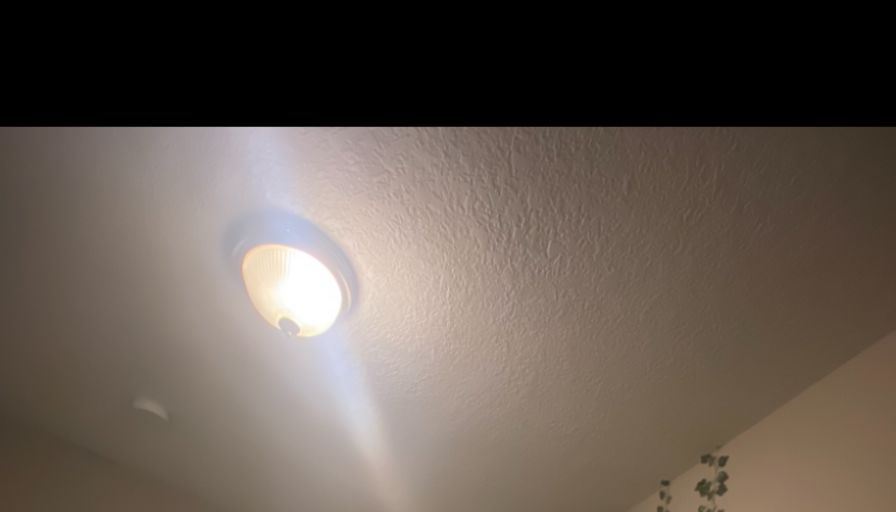 Alyvia Dodsworth's room