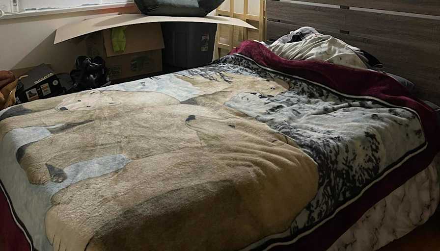 Photo of Zoey Frost's room