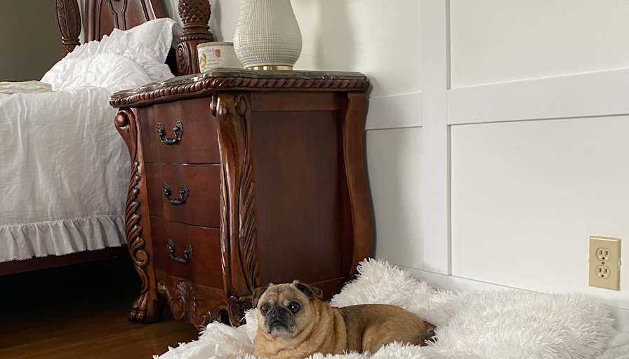 Photo of Ves's room