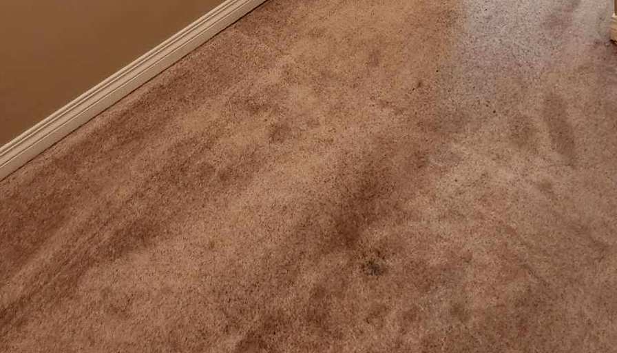 Jeffrey Tyler Rock's room