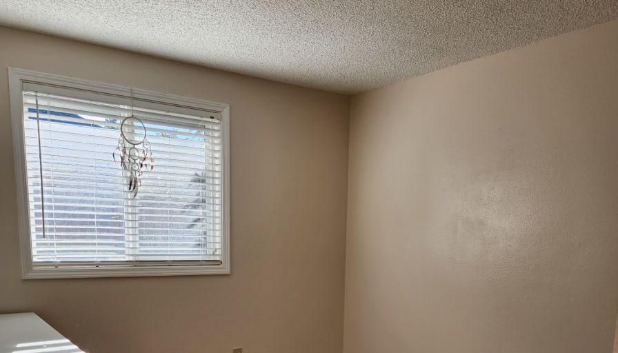 Photo of Sonja's room