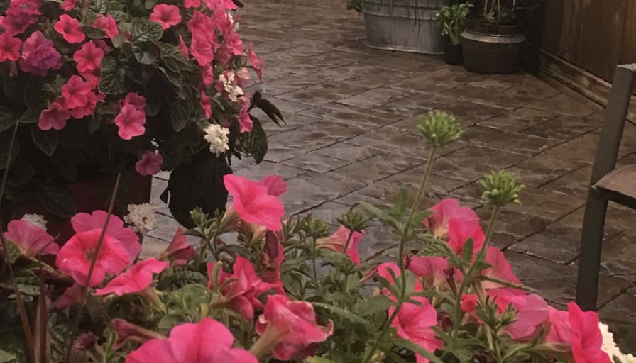 Braden VanBryce's room