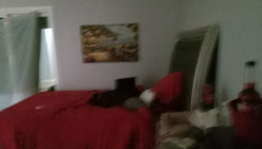 Photo of Sylvia's room