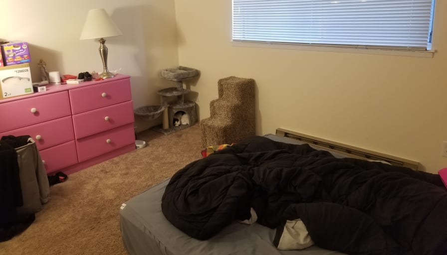 Photo of Rachel's room