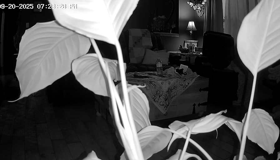 Tracy Robinson's room