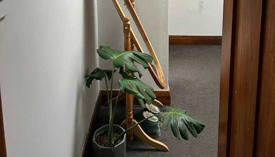 Photo of Grace's room