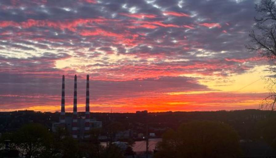 Please Contact's room