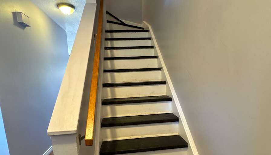 Suzanne Dresser's room