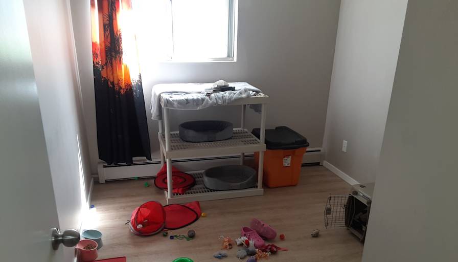 Photo of Shawn lefort's room