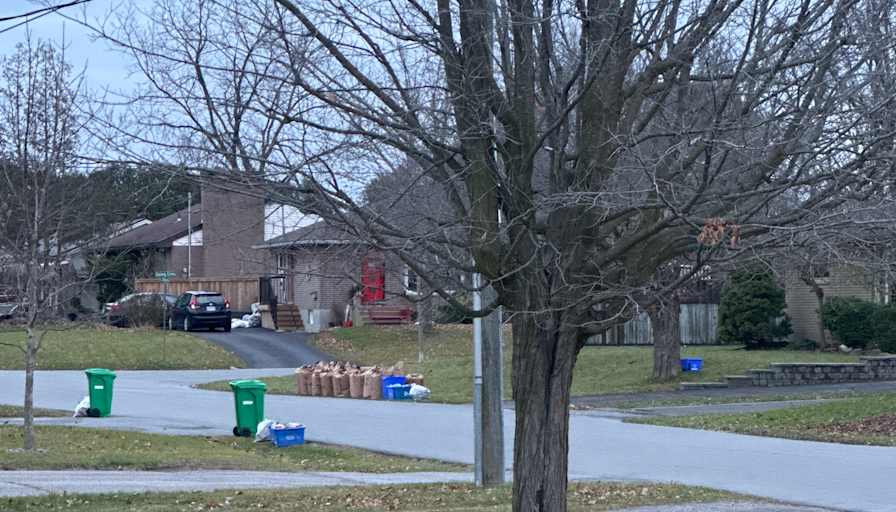 Tanya Patrick's room