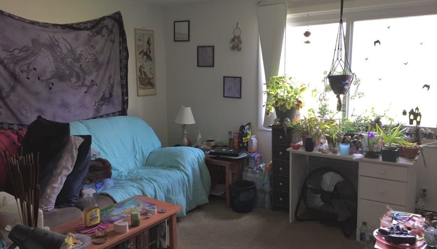 Photo of Gao's room
