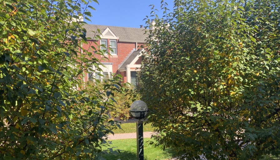 Private room to rent in share house Audubon Street Roomies com