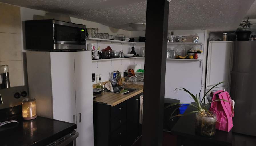Photo of Dog person ❤️'s room