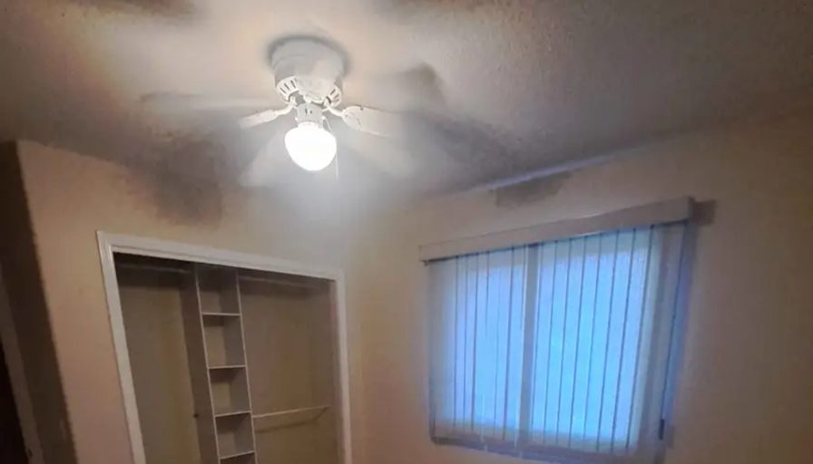 Photo of Maddison Roukema's room