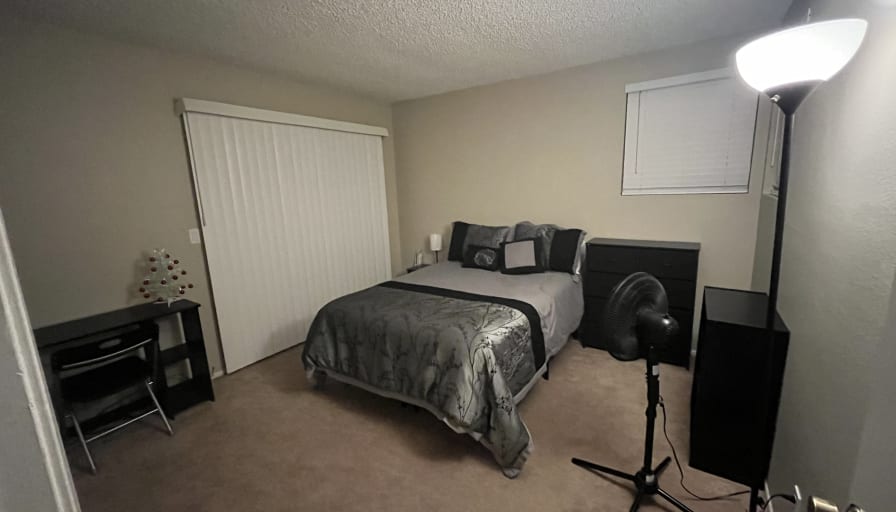 Photo of Manja's room