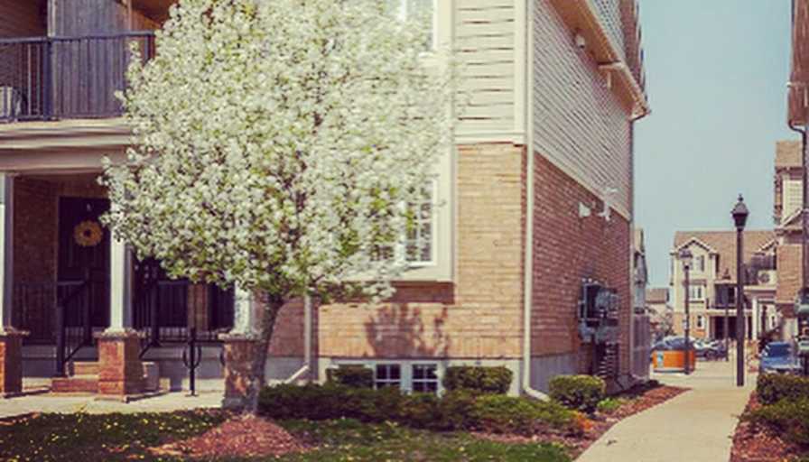 Magdalena Rudnicka's room