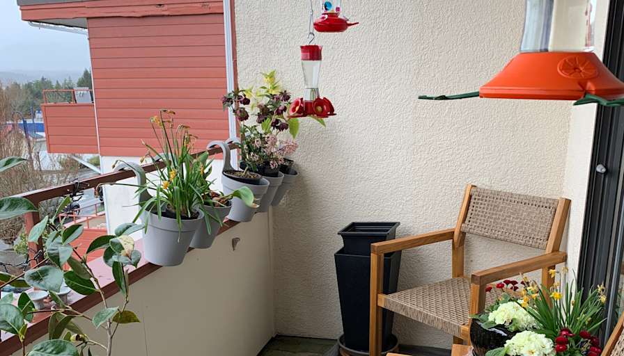 Marie Raymonde Joceline Dupuis's room