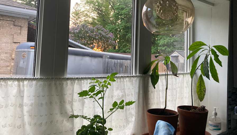 Photo of Sarah's room