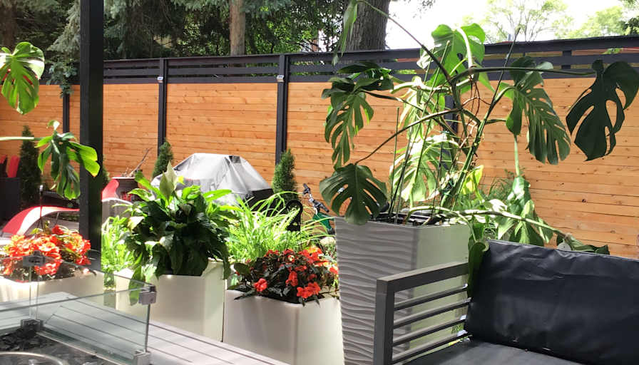 ofelya tevonian's room