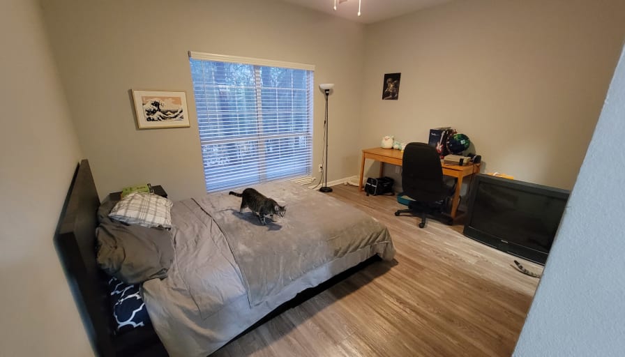 Photo of Electric's room