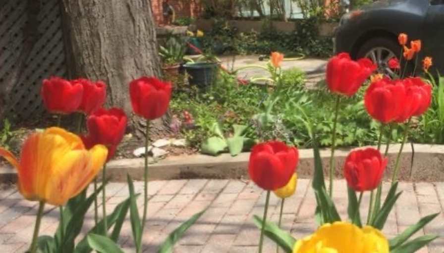 Photo of Gary's room