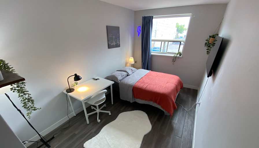 Harrington Toronto's room