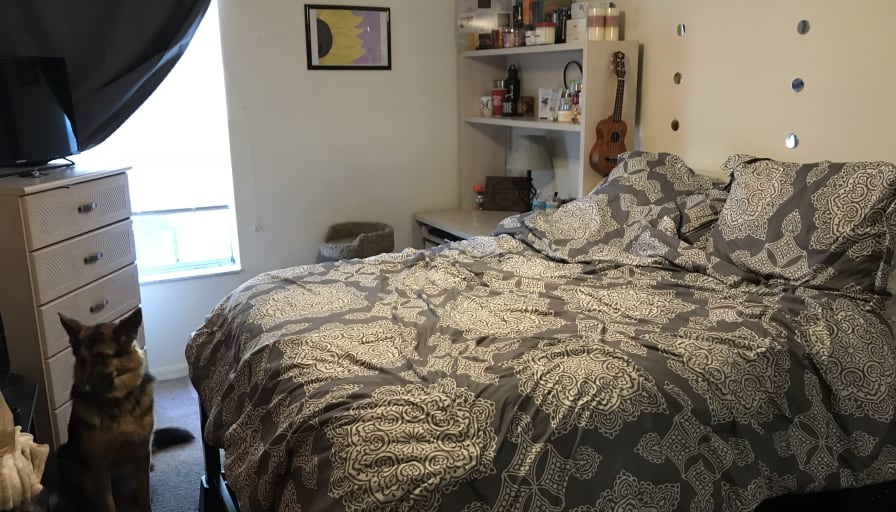 Photo of Courtney's room