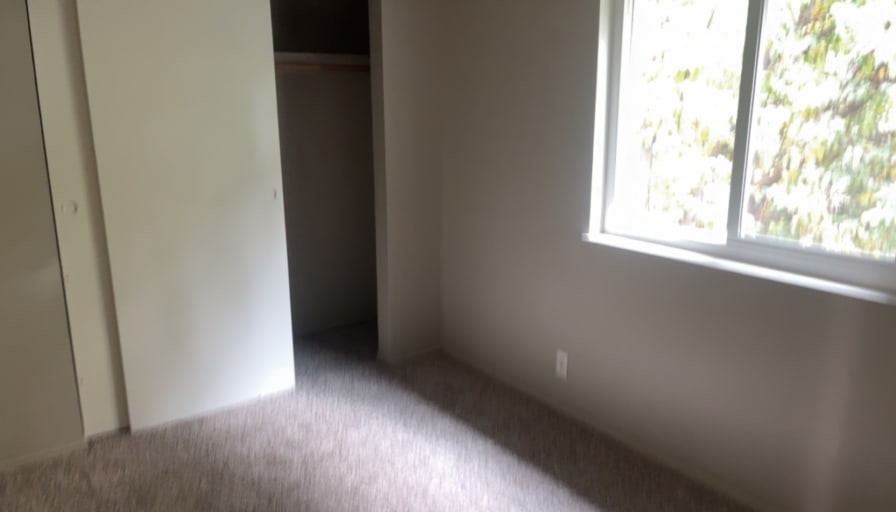 Photo of Chainsaw's room