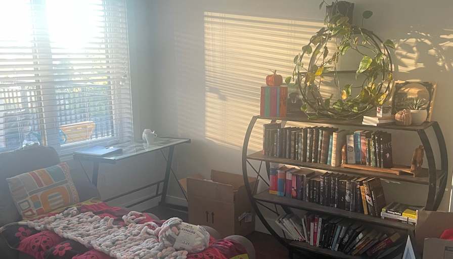 Photo of Mario's room