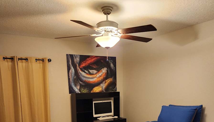 Photo of Stormy's room