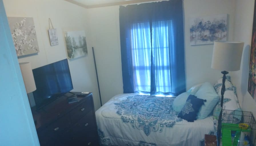 Photo of Davina's room