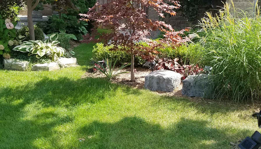 Kavesseri Raja's room