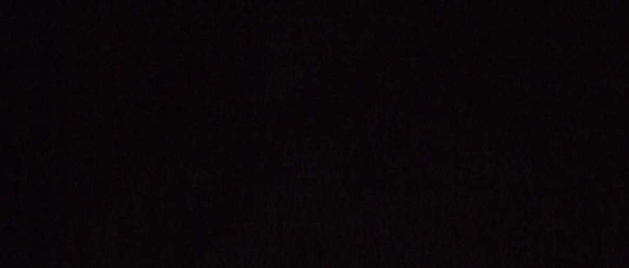 Miss Renee K. Taylor-BA-French