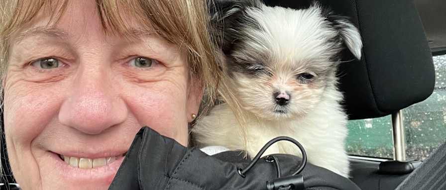 Photo of Susie
