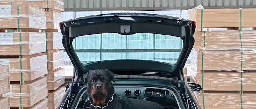 Photo of Bruce