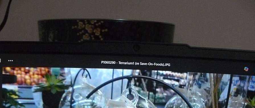 Miss Renee K. Taylor-BA-French