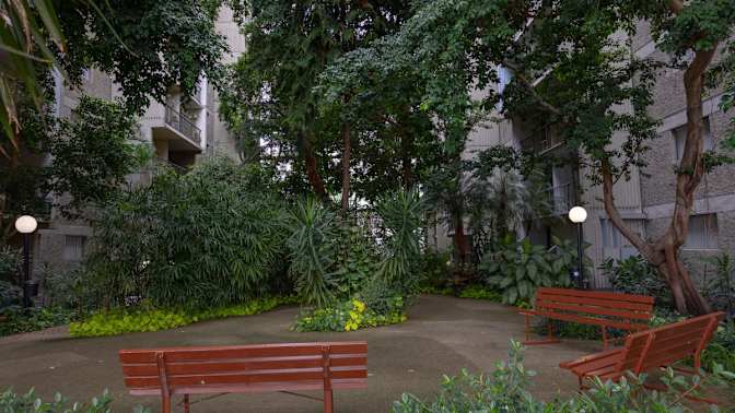 Rashika Gupta's room