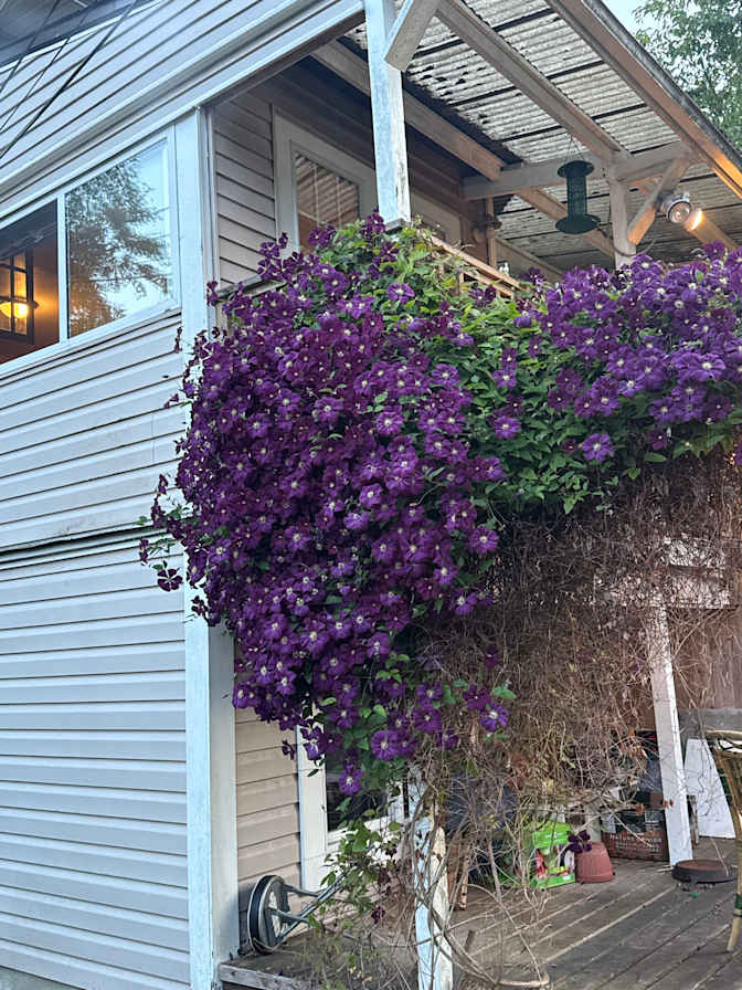 Photo of Joan's room