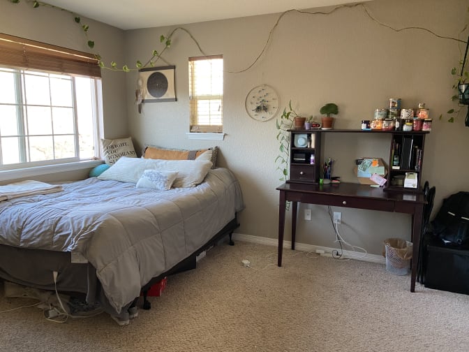 Photo of Angelica's room