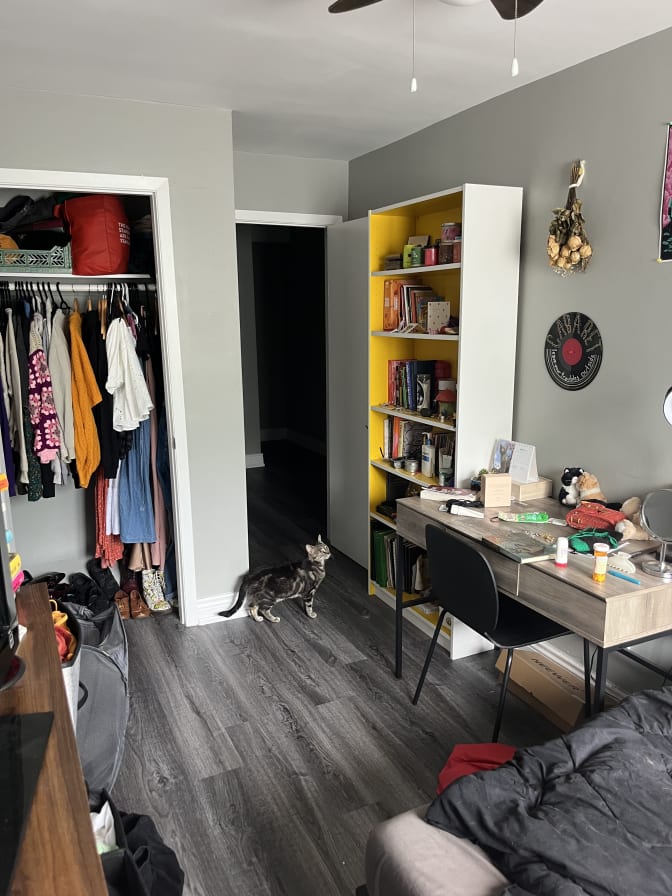 Photo of Layla's room