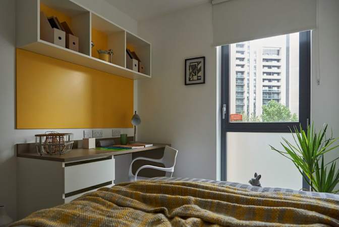 Photo of mishika manchanda's room