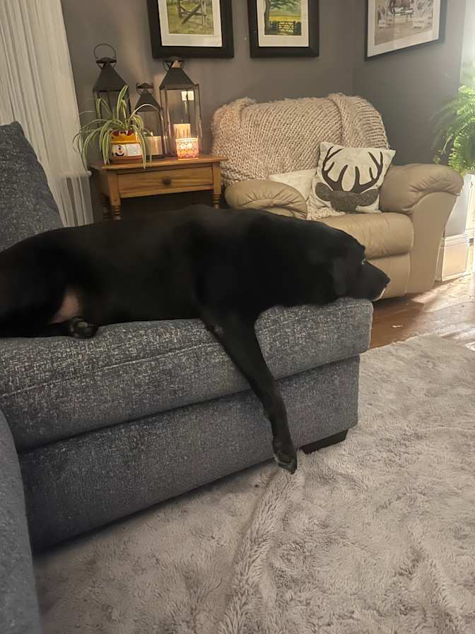 Photo of shauna's room