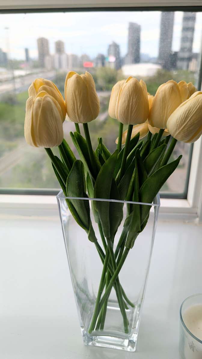 Photo of cynthia's room