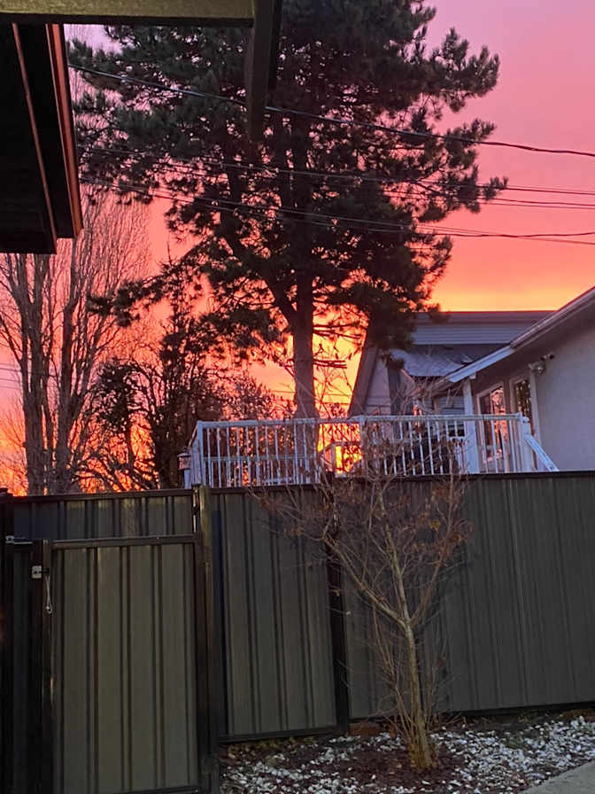 Natasha Thirsk's room