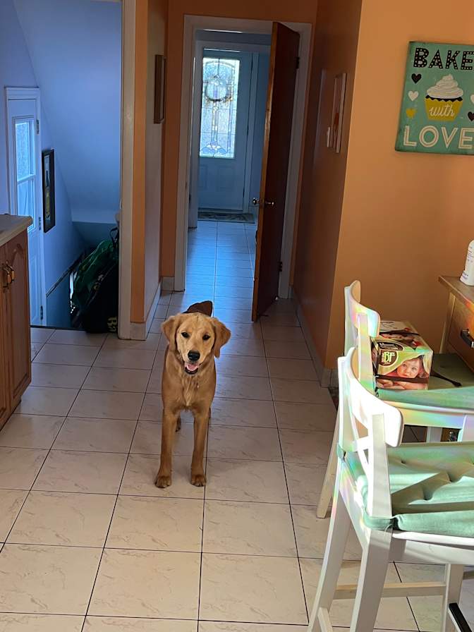 Photo of Sarah's room