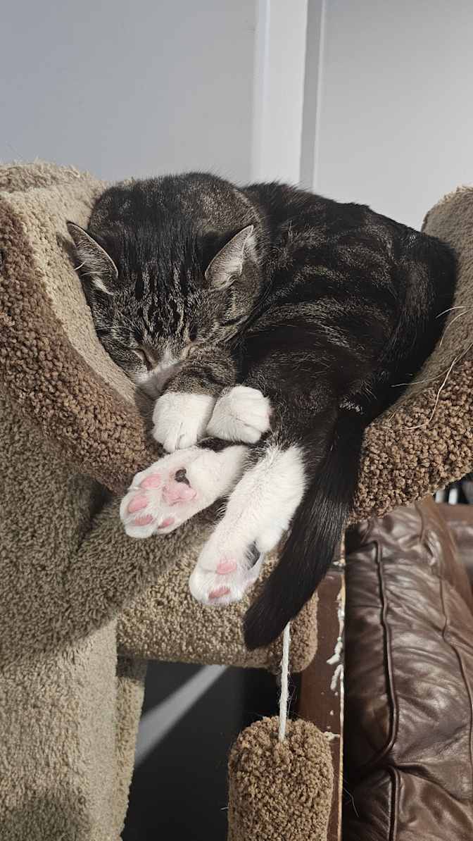 Travis Schiffers's room