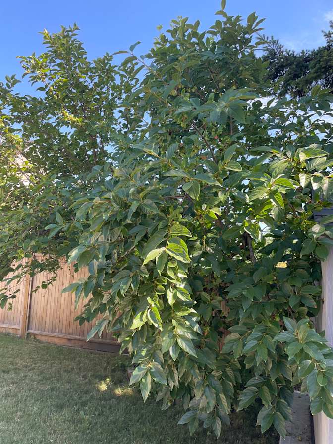 Photo of Christ's room